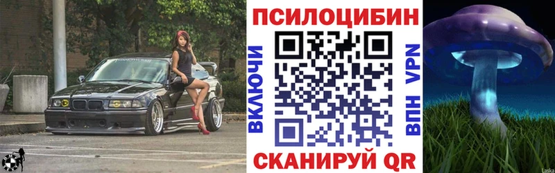 дарнет шоп  Игарка  Галлюциногенные грибы мицелий 